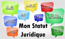 Statut société - Crédit photo : © Frédéric Massard - Fotolia.com